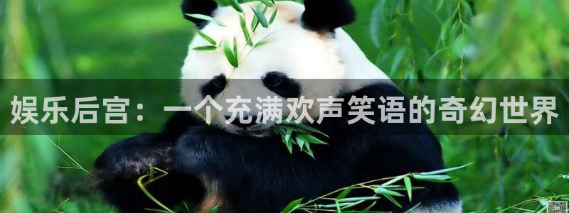 壹号app下载官网娱乐