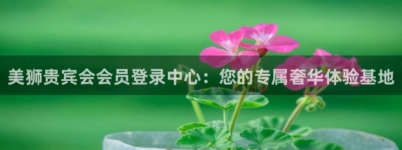 银河娱乐强制退款流程详解