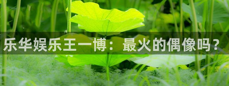 银河娱乐电子游戏官网
