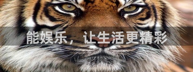 银河娱乐能退款吗