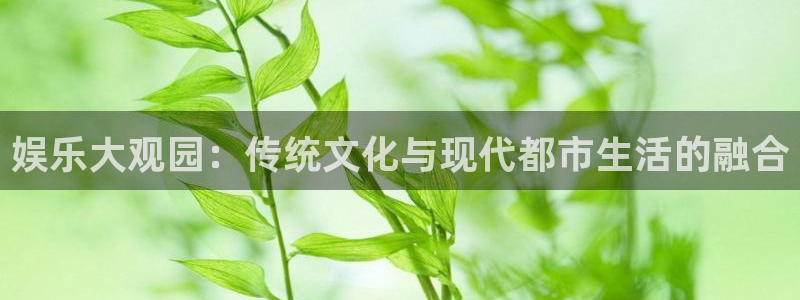 银河娱乐(com.youad.authst)
