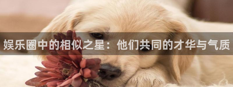 银河娱乐app下载安装