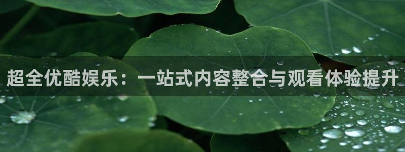壹号电子娱乐app下载最新版本安装