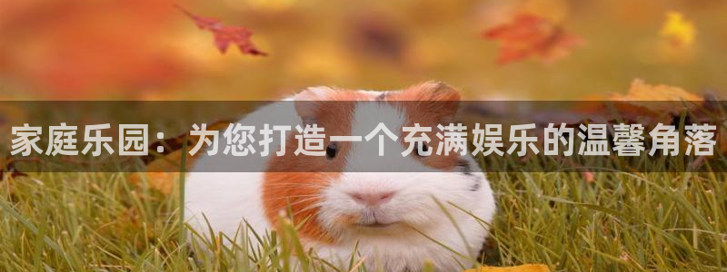 银河娱乐-ng大舞台,有梦你就来：家庭乐园：为您打造一个充满娱乐的温馨角落