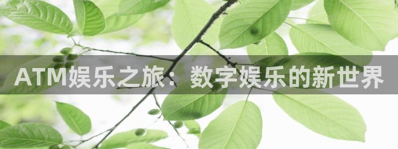 银河娱乐app入口：ATM娱乐之旅：数字娱乐的新世界