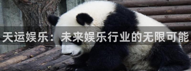 壹号电子娱乐app下载安装最新版本：天运娱乐：未来娱乐行业的无限可能