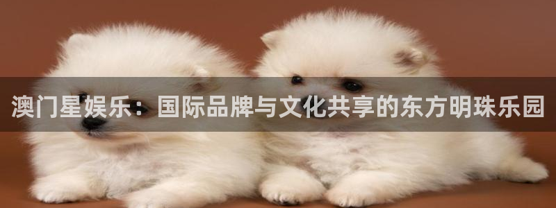 壹号电子娱乐app下载安装：澳门星娱乐：国际品牌与文化共享的东方明珠乐园