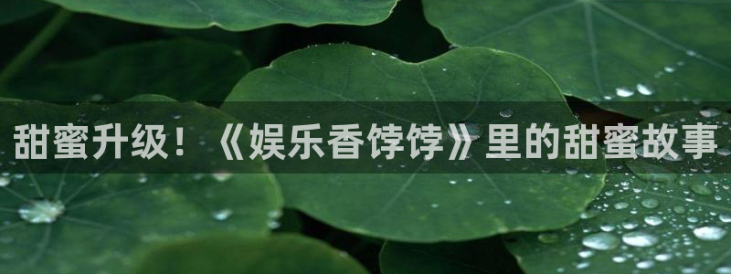 银河娱乐app下载：甜蜜升级！《娱乐香饽饽》里的甜蜜故事