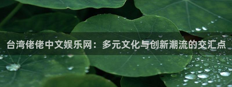 银河娱乐app官网下载：台湾佬佬中文娱乐网：多元文化与创新潮流的交汇点